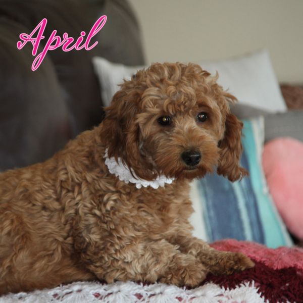 April.jpg