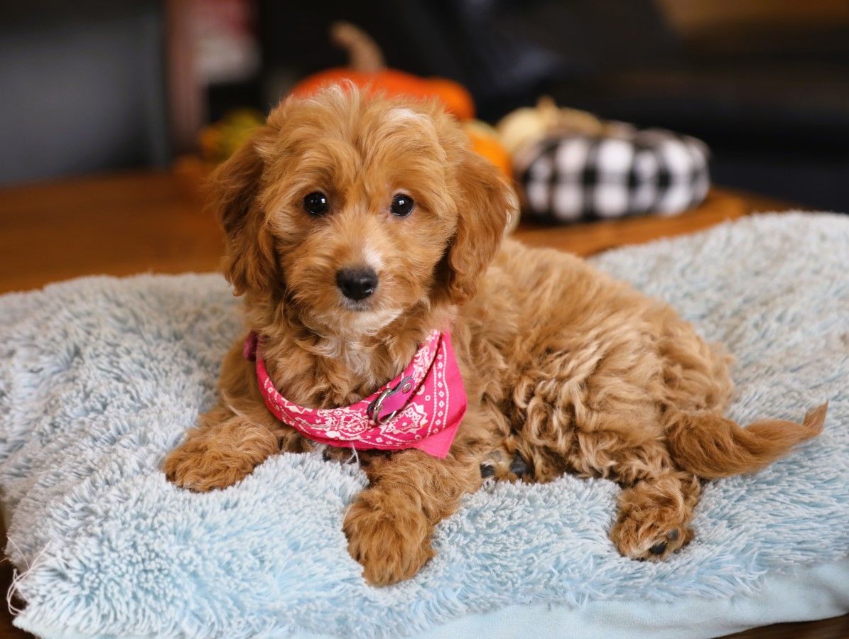  Beulah • click to meet