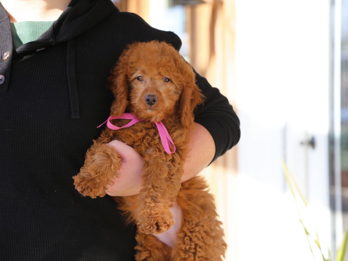 Lenny • click to meet