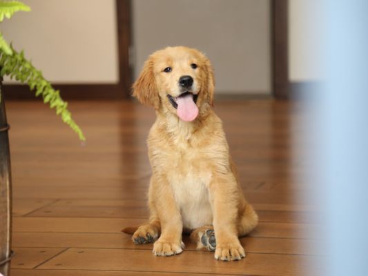 SUNNY • RESERVED