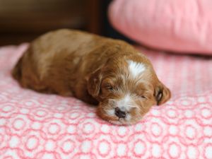 Sunny • click to meet