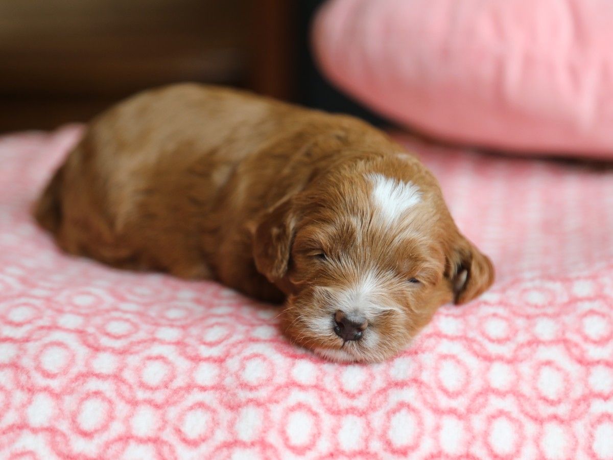 Sunny • click to meet