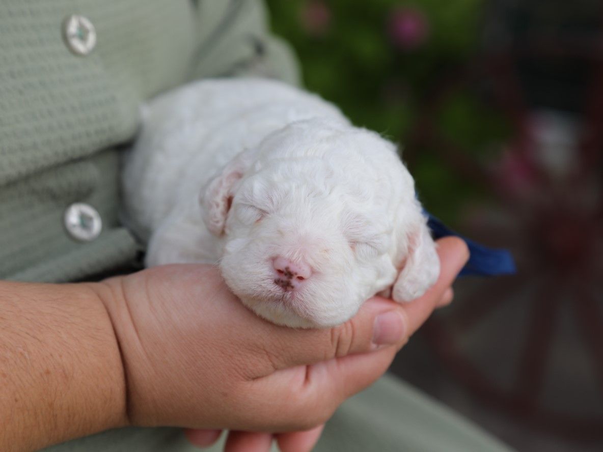 Casper • click to meet