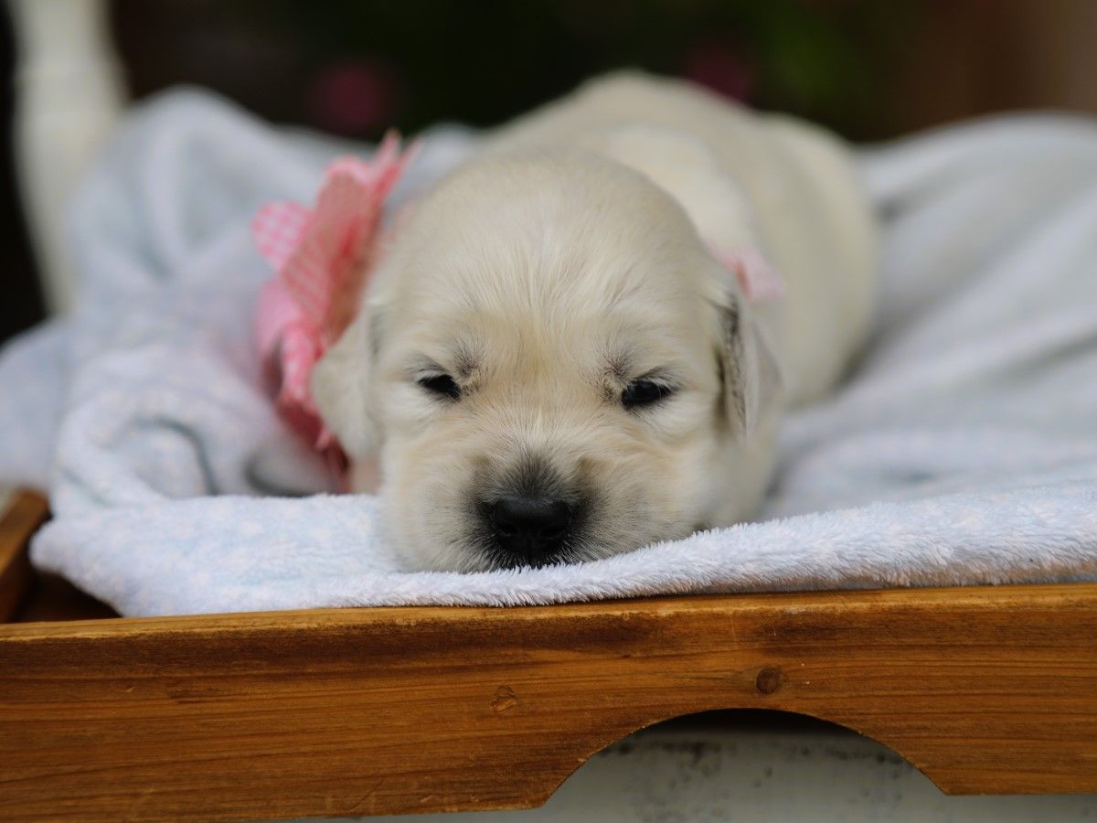 Maggie • Click to meet