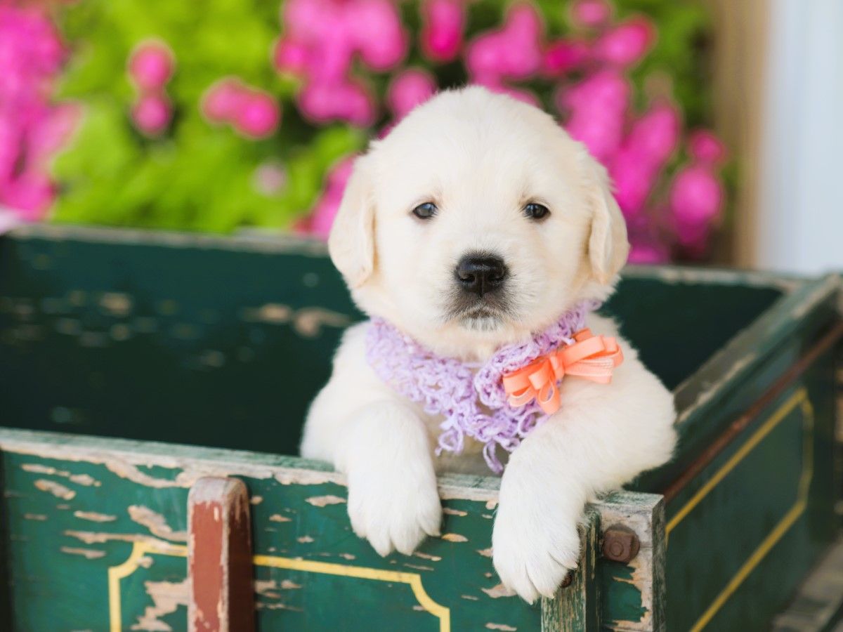  Florence • Click to meet