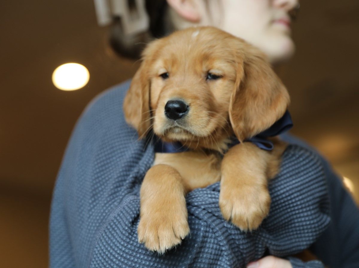   Hudson - Click to meet