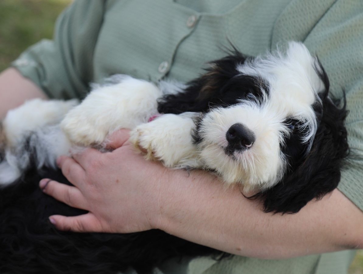 Mercy - Click to meet