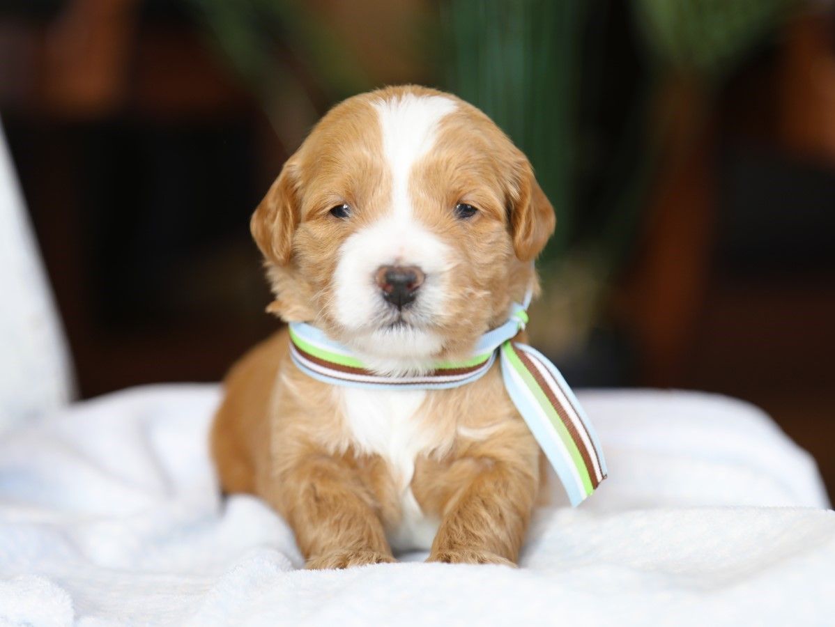 Happy • click to meet