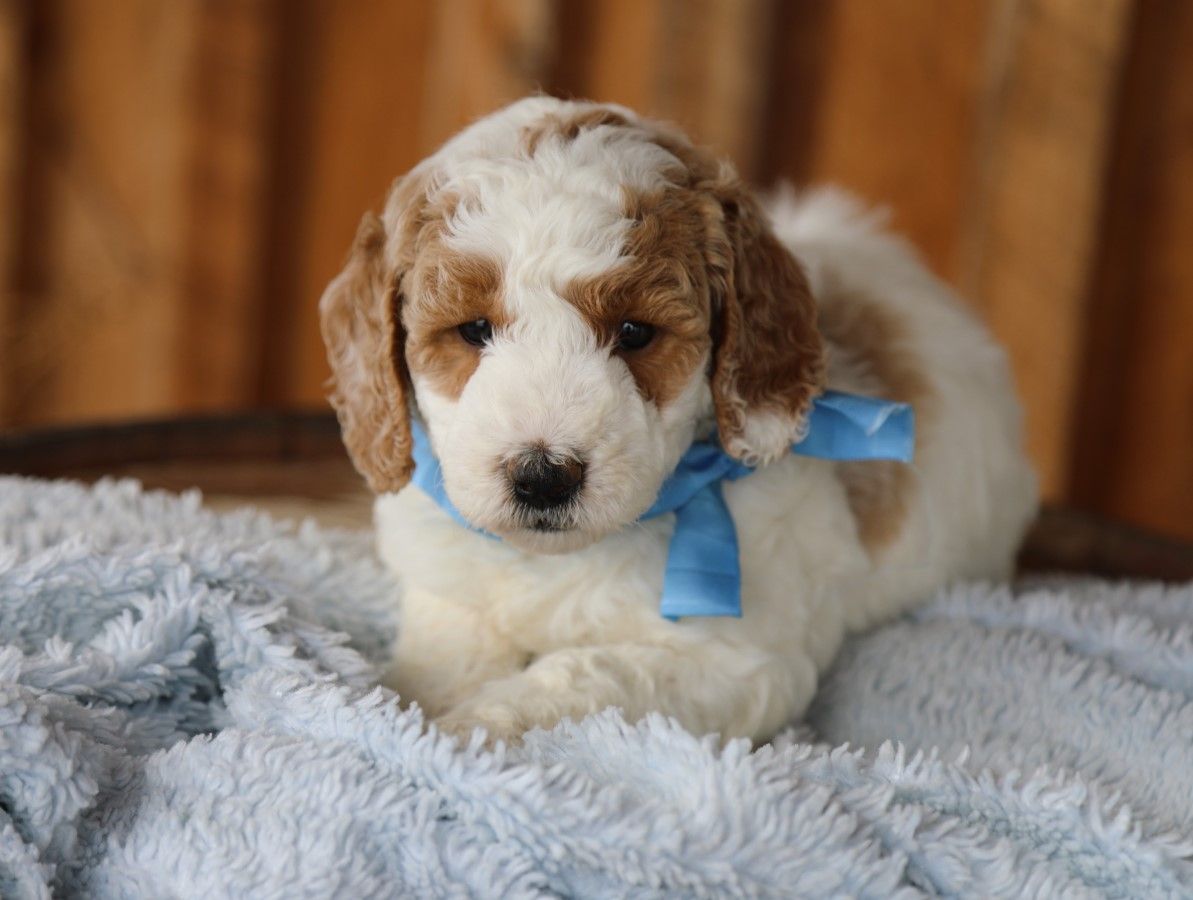 spencer (2).JPG