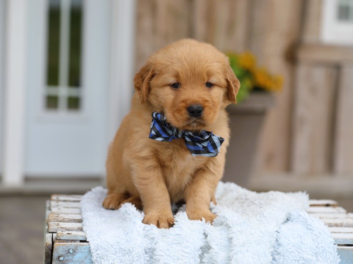 Lincoln • Click to meet
