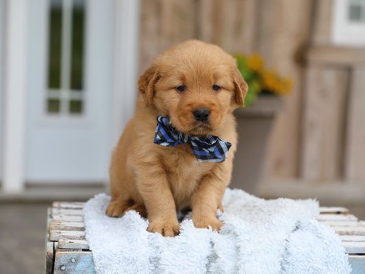 LINCOLN • RESERVED