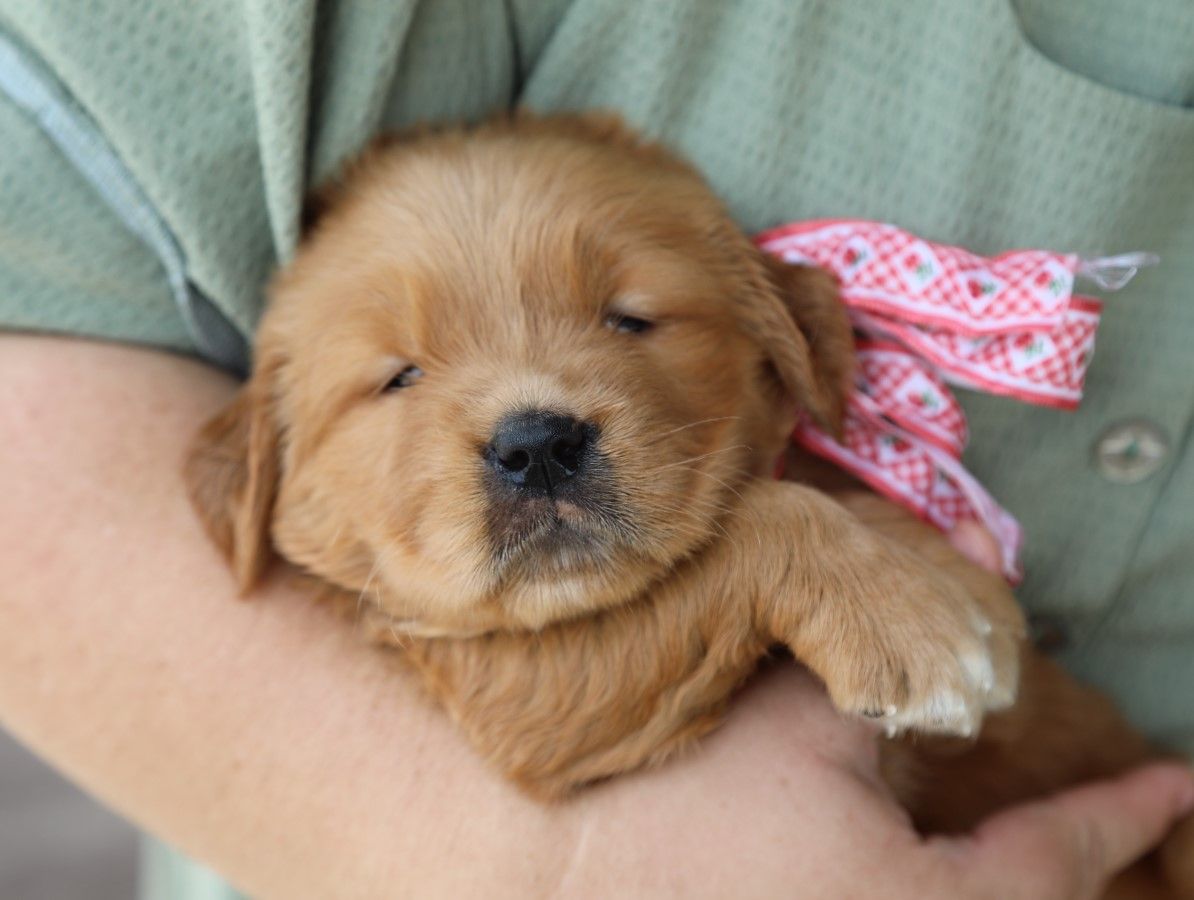 Lilly (3).JPG