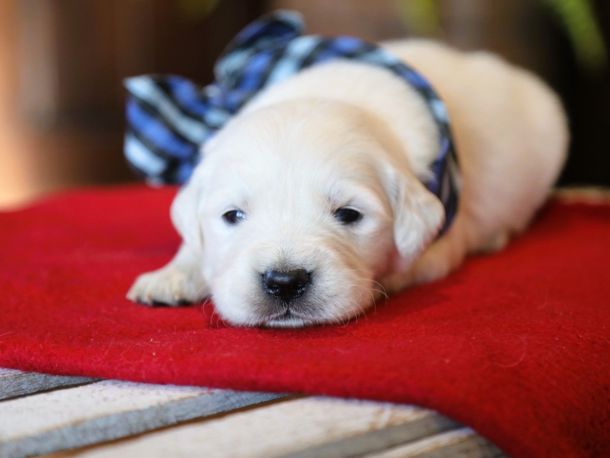 Bronx • Click to meet