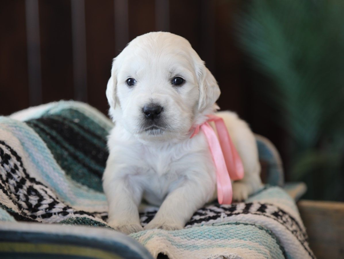 Heidi (13).JPG