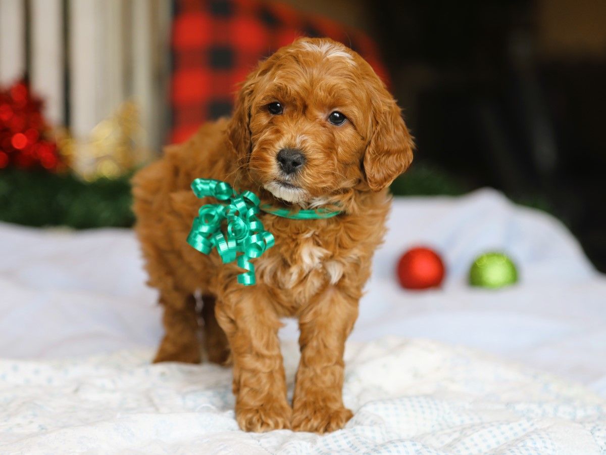  Happy • click to meet