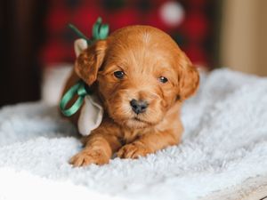 Miller • click to meet