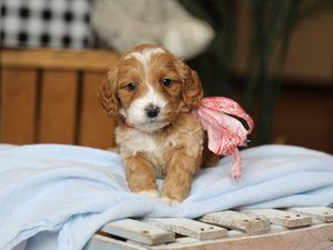 Erika • click to meet