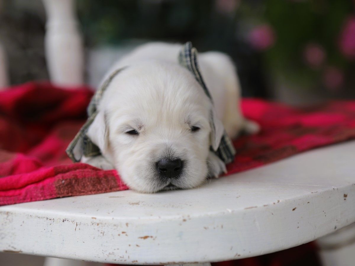 Albert (4).JPG