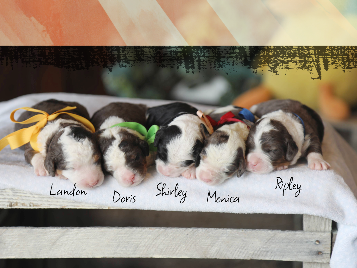 Flora's Babies