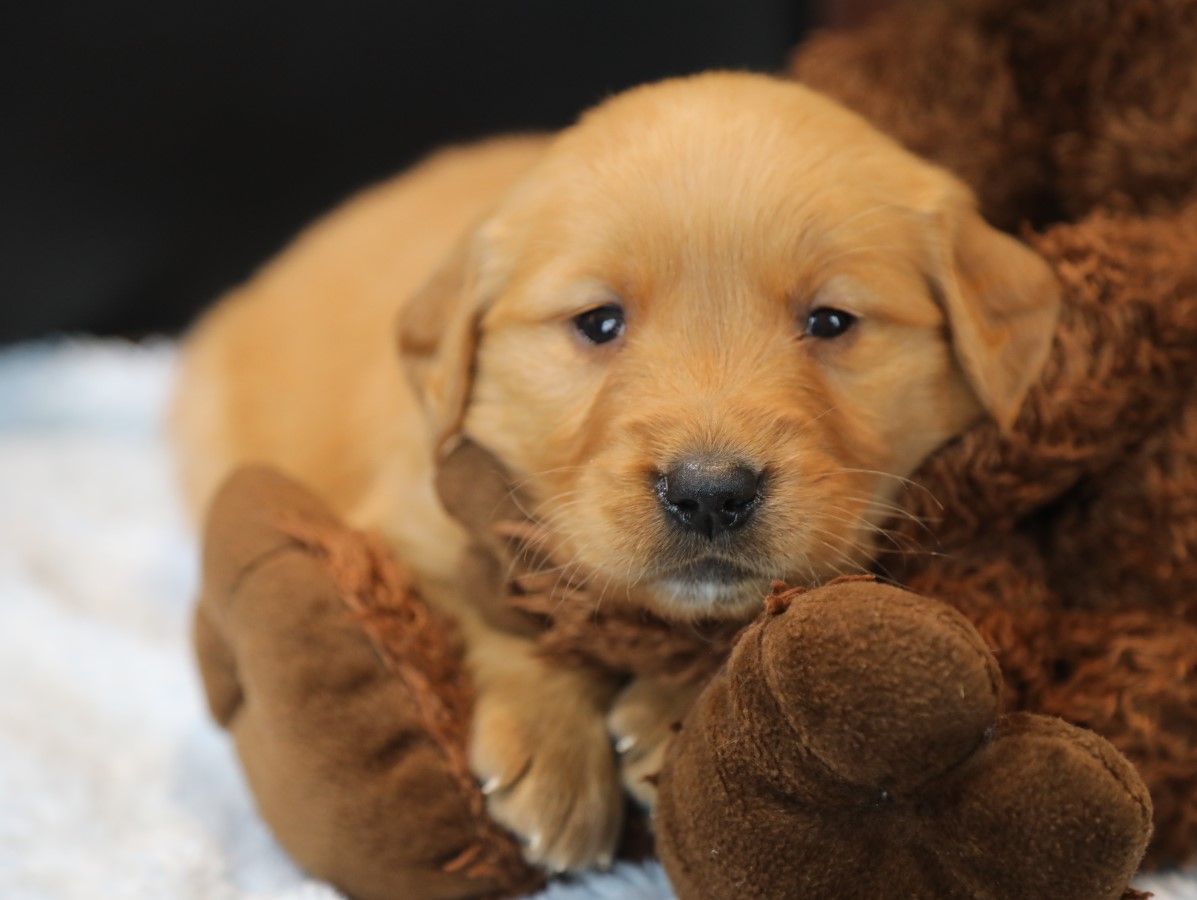 Sammy - Click to meet
