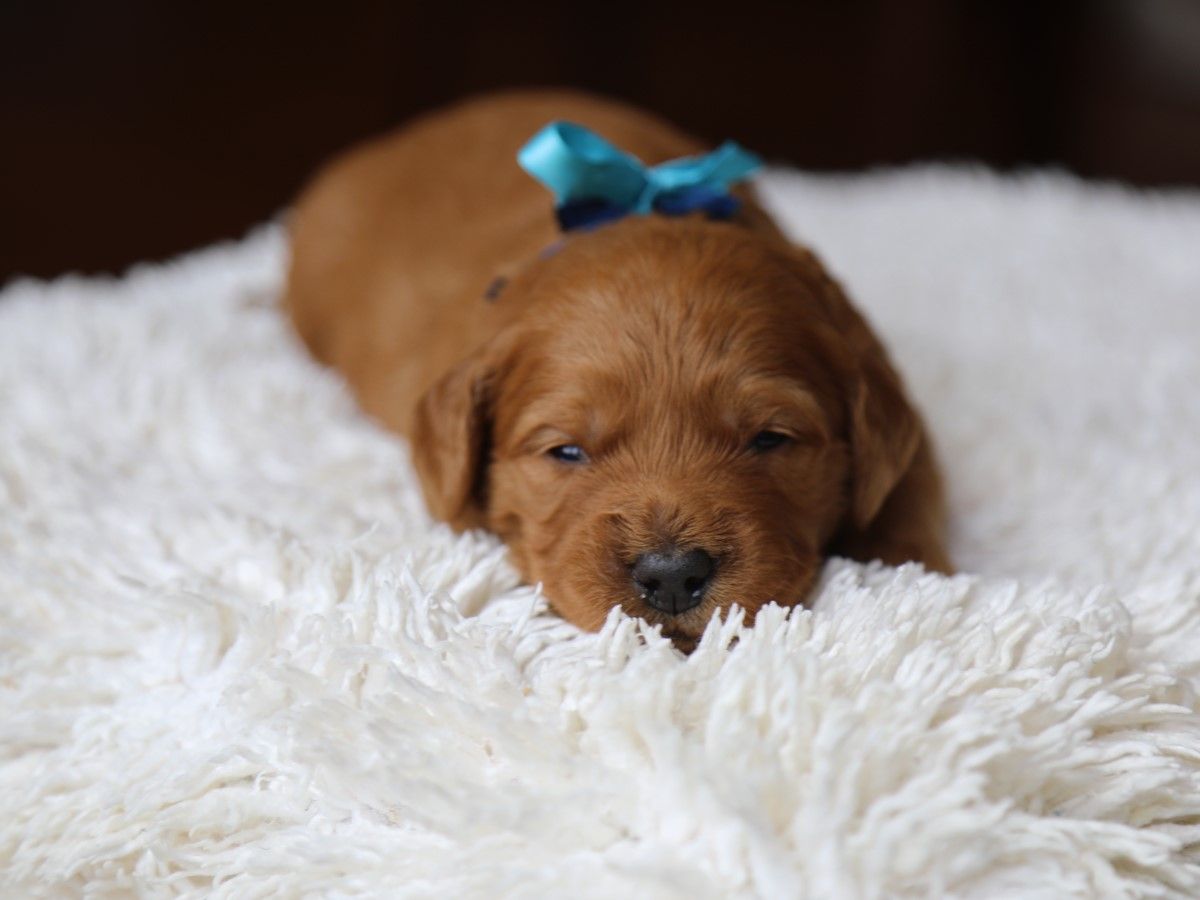 Tex (1) (1).JPG