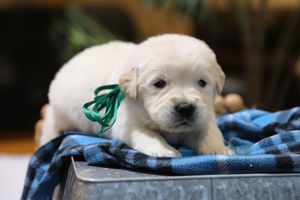 Chad • Click to meet