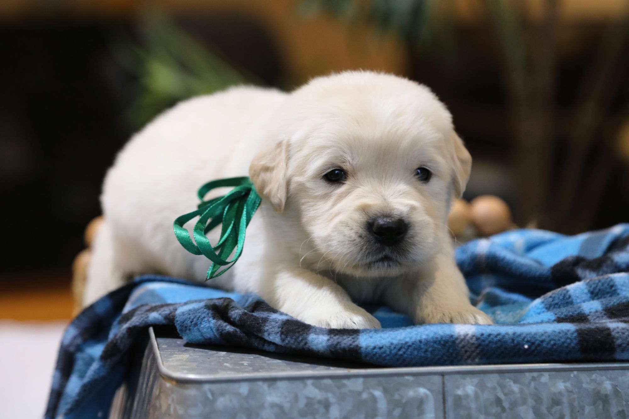 Chad • Click to meet