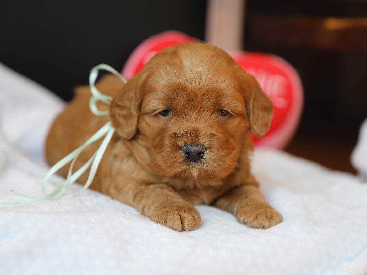 Winnie (2).JPG