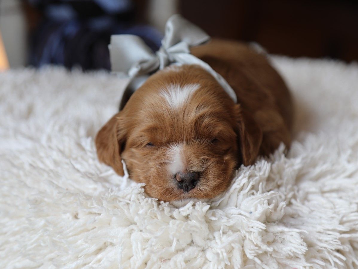 Truffle (3).JPG