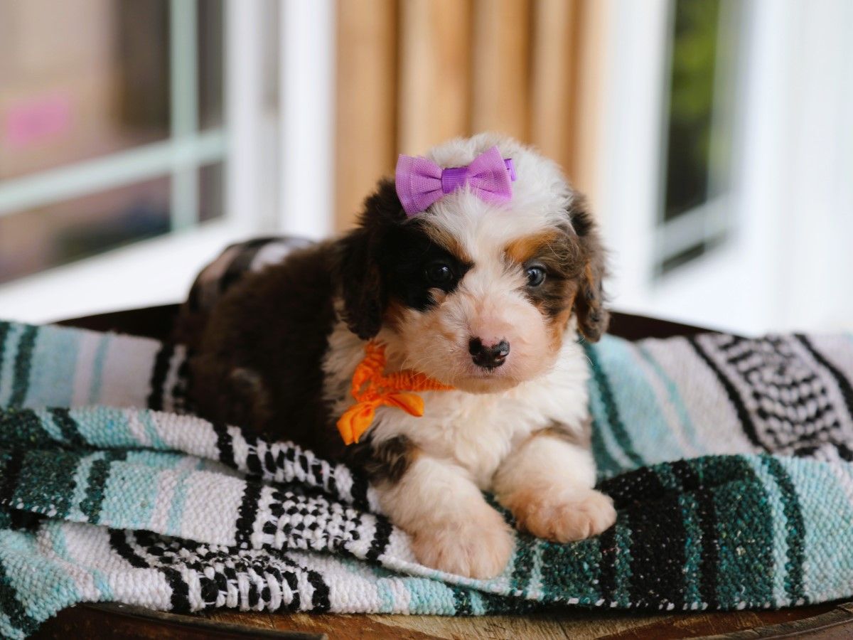 fiona (2).JPG