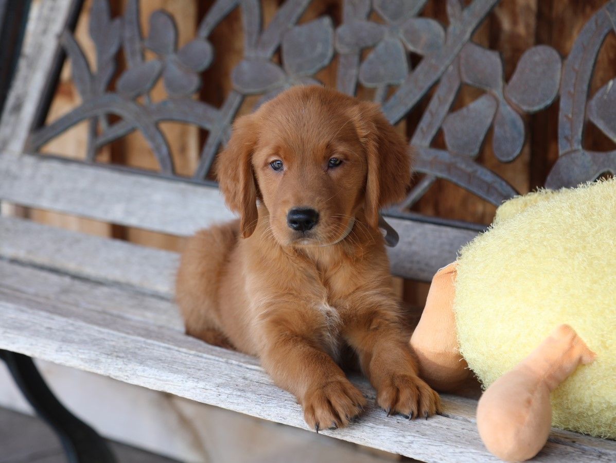  Dallas - Click to meet