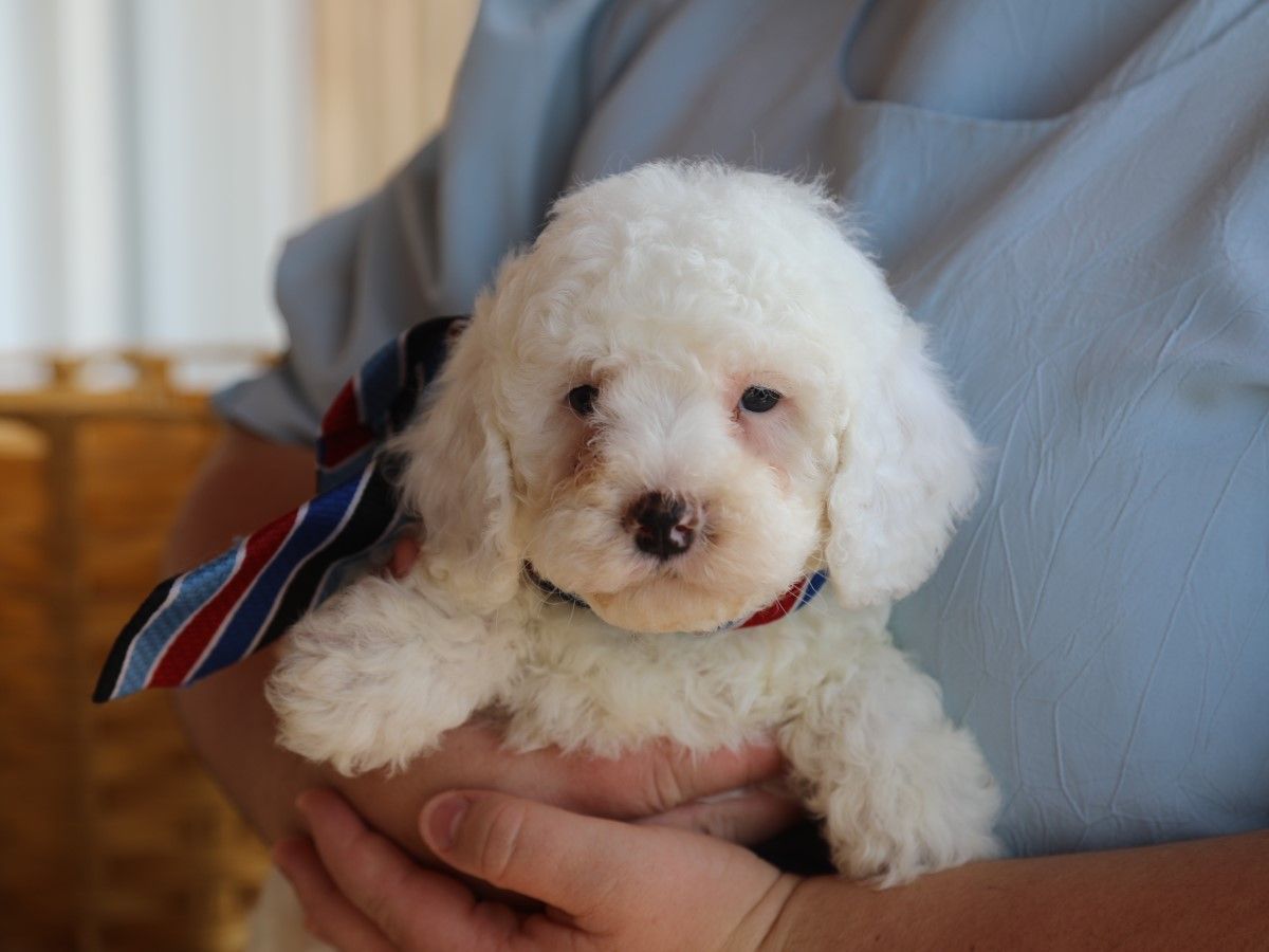 Casper (1).JPG