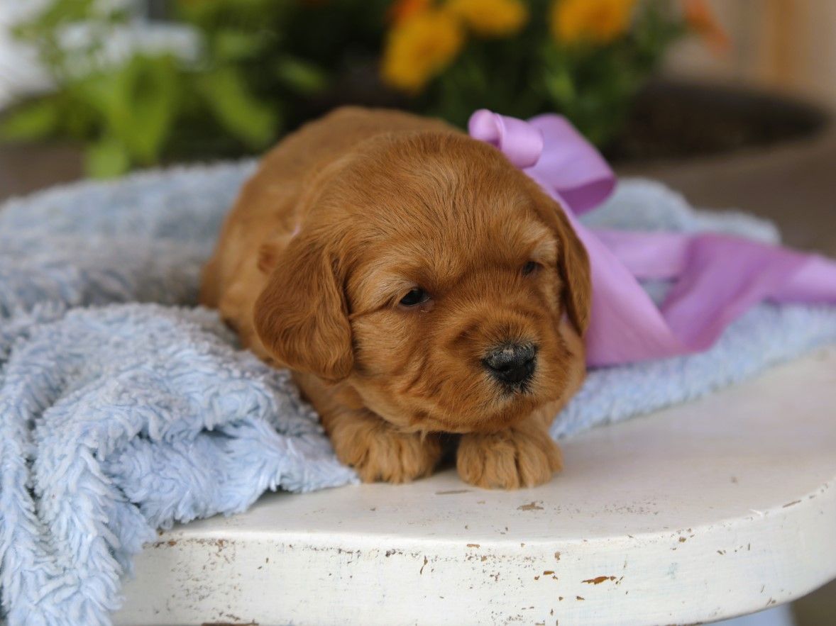 addy (4).JPG