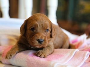 Addy • click to meet