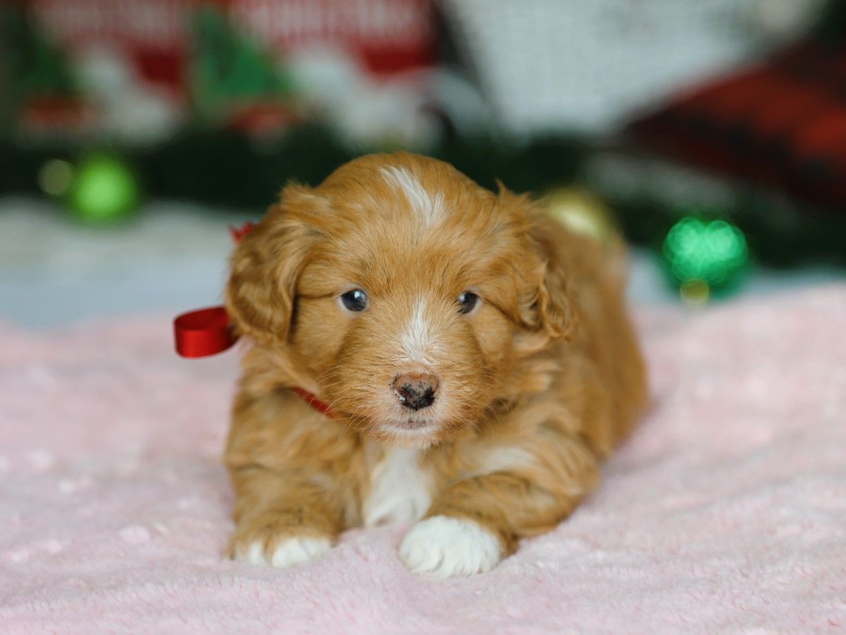  Gloria • click to meet