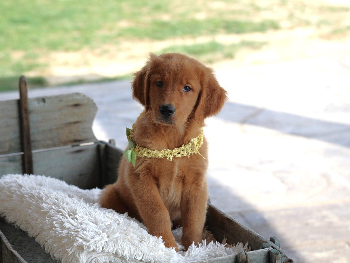  Clinton - Click to meet