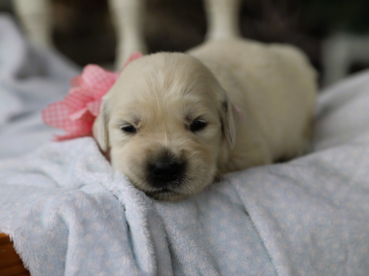 Maggie (1).JPG