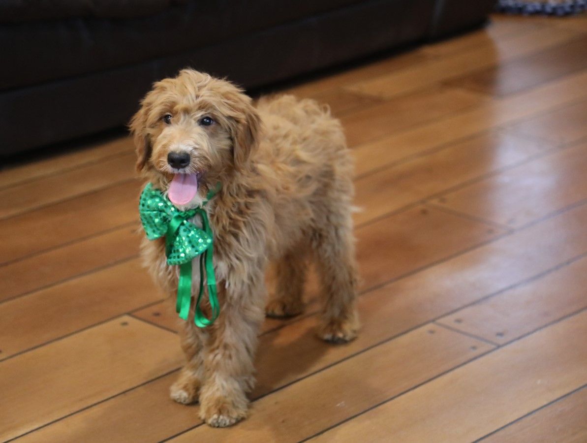 Doug (6).JPG