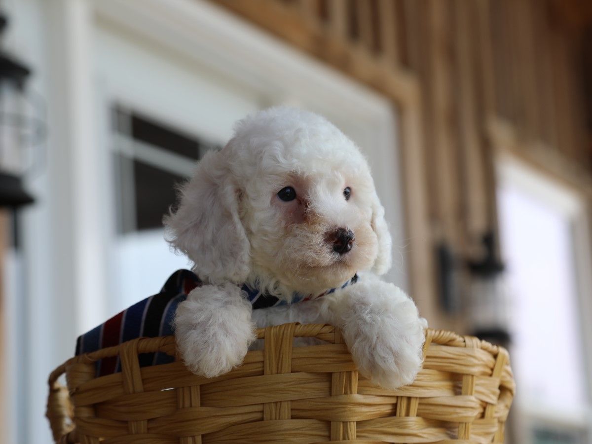 Casper (4).JPG
