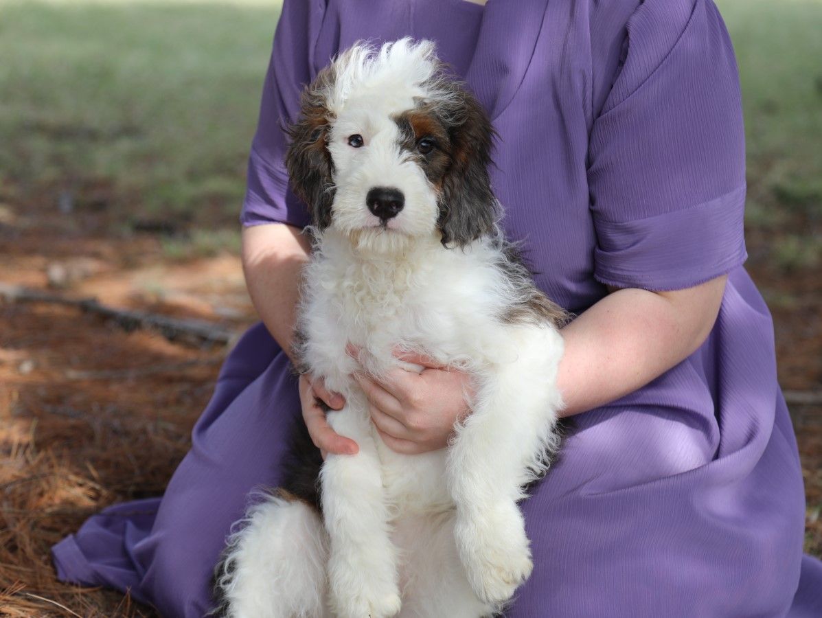  Kyra - Click to meet