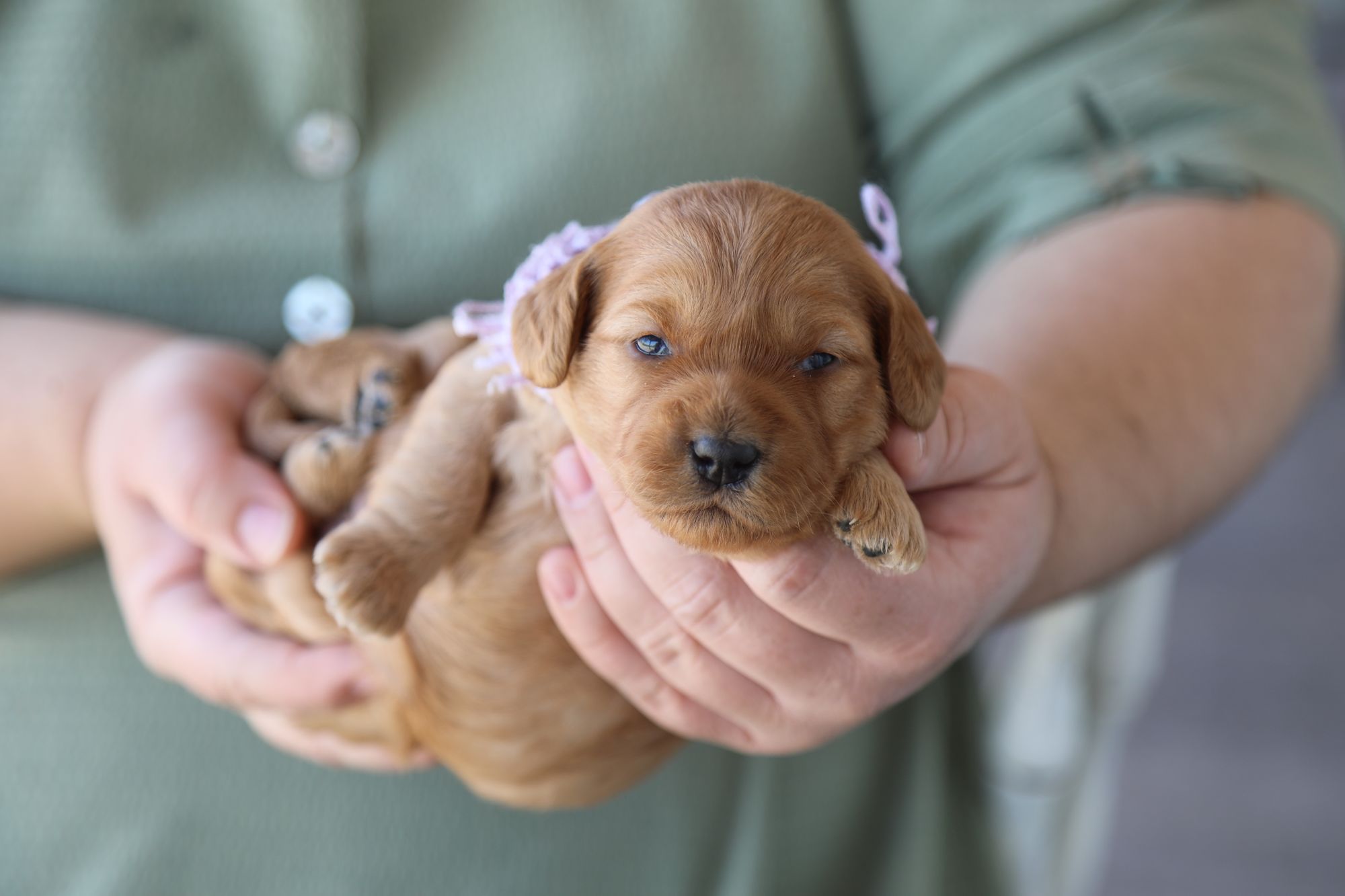 Addy (3).JPG