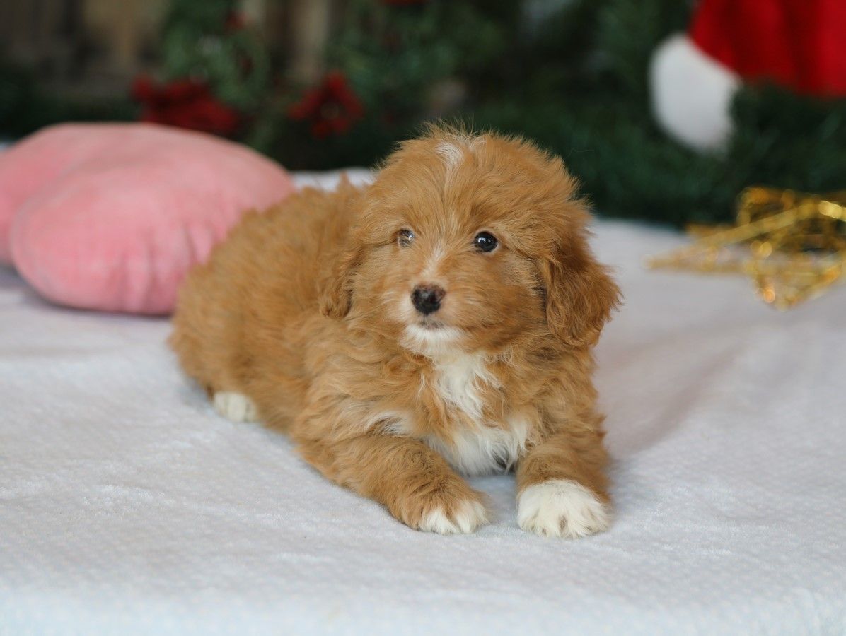  Gloria • click to meet