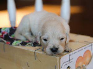 Jubilee • Click to meet