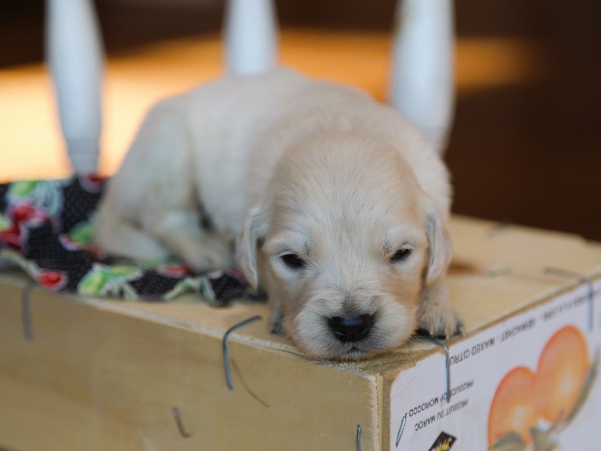 Jubilee • Click to meet