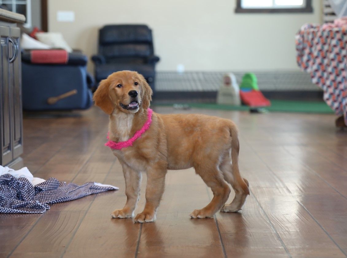 Lucia - Click to meet