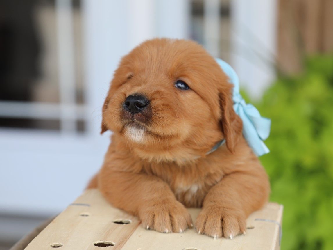 obie (3).JPG