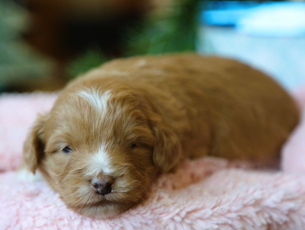 Gloria • click to meet