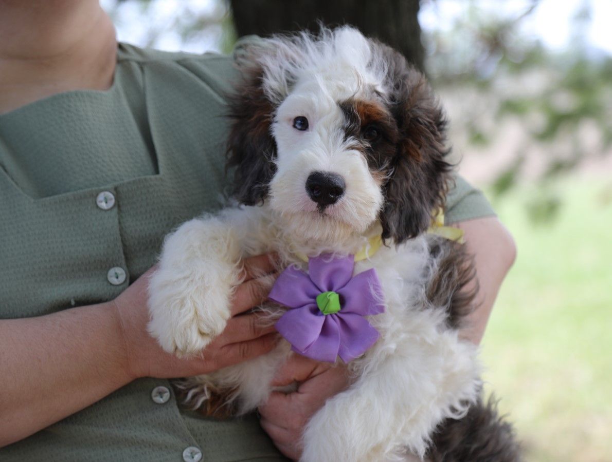  Kyra - Click to meet