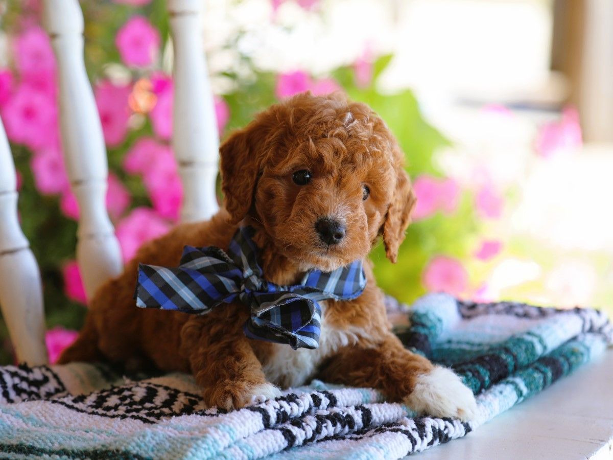 finnegan (4).JPG