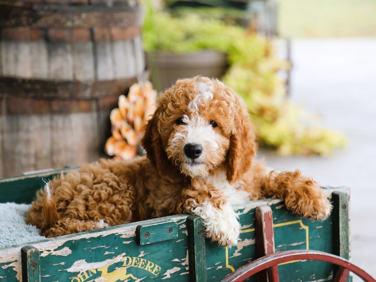  Hunter • click to meet